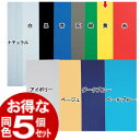 《1枚あたり200円》【5個セット】プラダンPD-