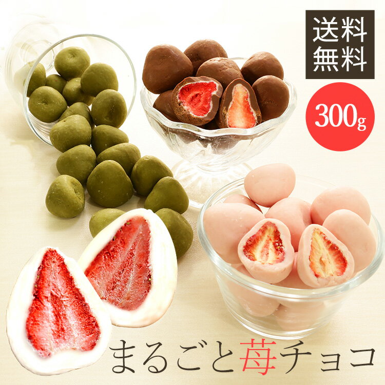 いちご チョコ まるごといちごチョコ チョコがけ 300g 個包装 6001 ホワイトチョコ ミルクチョコ ストロベリーチョコ 抹茶チョコ いちごトリュフ いちごまるごと スイーツ ストロベリー フリーズドライ フルーツチョコ まとめ買い ホワイトデー バレンタイン【D】