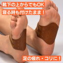 家庭用磁気治療器 ピンピン (両足用) 磁気健康足心サポーター 日本製 足裏 コリ 血行 ぴんぴん 足 疲れ 痛み 冷え性 てれとマート て れ と マート ものスタ 暮らしの幸便 敬老の日 プレゼント