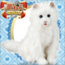【送料無料】(※北海道・沖縄・離島を除く)セガトイズ 夢ねこプレミアム 本物そっくりのねこのぬいぐるみ