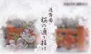 2011 平成23年大阪 桜の通り抜けミントセット...