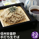 【送料無料】信州安曇野手打生そば2〜3人前 つゆ わさび 海...