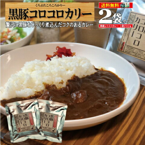 カレー レトルト 送料無料 長期保存 スパイス ポーク カリー 豚肉 黒豚 カツカレー ポークカレー 惣菜 お手軽 時短【楽天カレーランキング1位獲得】/黒豚カレー2袋セット/黒かつ亭