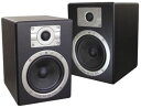 ESI nEar05 eXperience 5インチ・アクティブ・ニアフィールド・モニター(1ペア) NEAR05JP【送料無料】【smtb-u】【ONLINE STORE】