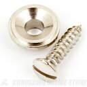 Fender Pure Vintage Telecaster String Guide, Nickel 《ギターパーツ/ストリングガイド》【ONLINE STORE】
