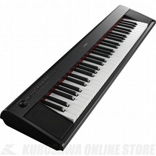 https://thumbnail.image.rakuten.co.jp/@0_mall/kurosawa-shop/cabinet/ikou_20091014_007/yam-np-12-black.jpg?_ex=500x500