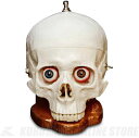 DR.NO Effects SKULL FUZZ(エフェクター/ファズ)(送料無料)(数量限定)【ONLINE STORE】