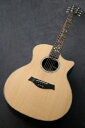 【店頭在庫品】Taylor Custom GA-Rosewood【スペシャルカスタム】【ホワイト・シダー】【48回払い無金利】【G-CLUB渋谷】