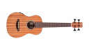 【送料無料】Cordoba MINI II BASS MH-E【アコースティックベース】【G-CLUB渋谷】