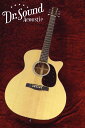Martin GPCPA4 S/N 1946961【新品】【送料無料】【Dr.Sound】