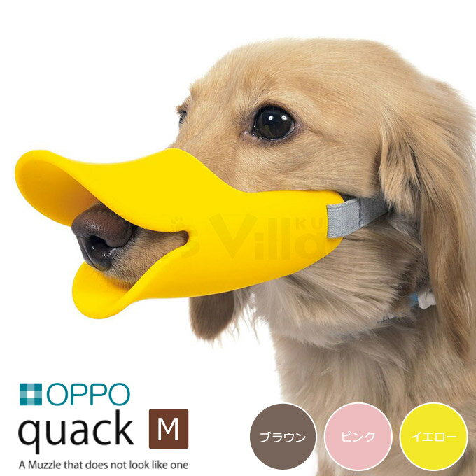 OPPO NAbN quack  M 14.5cm   pi p ݂Eʖih~  GUxXJ[  Ib| Aq  pi ybgObYEybgpi 