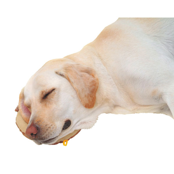 ペティオ　老犬介護用　床ずれ予防クッション　ドーナツ型　大
