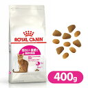 ロイヤルカナン キャットフード セイバー エクシジェント 成猫用 400g 【キャットフード ロイヤルカナン 猫/キャットフード ドライフード/成猫用 アダルト】【ロイヤルカナン セイバー エクシジェント/ROYAL CANIN】