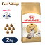 1/27 10:00〜1/31 9:59限定【P最大10倍】ロイヤルカナン キャットフード ラグドール 成猫用 2kg ■ 猫 ドライフード アダルト 高齢猫 シニア ROYAL CANIN 3,180円