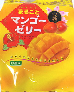 片山食品　まるごとマンゴーゼリー　22gx8