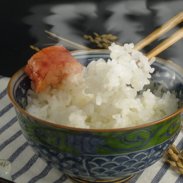 塩むすびで食べて♪千葉県産ふさこがね玄米30キロ新米 22年産あす楽対応