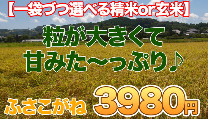 【24年産新米予約】【くるりの名水百選で作られた米】塩むすびで食べて♪農家直送・安心安全！千葉県産ふさこがね10キロ【送料無料】【楽ギフ_のし】【24年産新米予約】こちらの商品は24年産新米ふさこがねの予約商品です。8/20前後より順次発送させていただきます