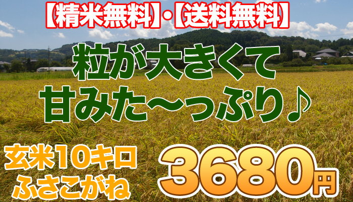 【24年産新米予約】【コシヒカリを超えたうまさ！！】地上最強激安価格ふさこがね玄米10キロ【送料無料】【精米無料】10kg【楽ギフ_のし】こちらの商品は予約商品です。8/24より順次発送させていただきます。>