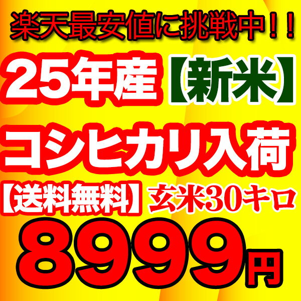 久留里名水のコシヒカリ玄米30キロこしひかり 玄米 30kg 送料無料 25年 30キロ お米 コメ 新米 コシヒカリ 米 食品この時期でしか味わえない味と香り