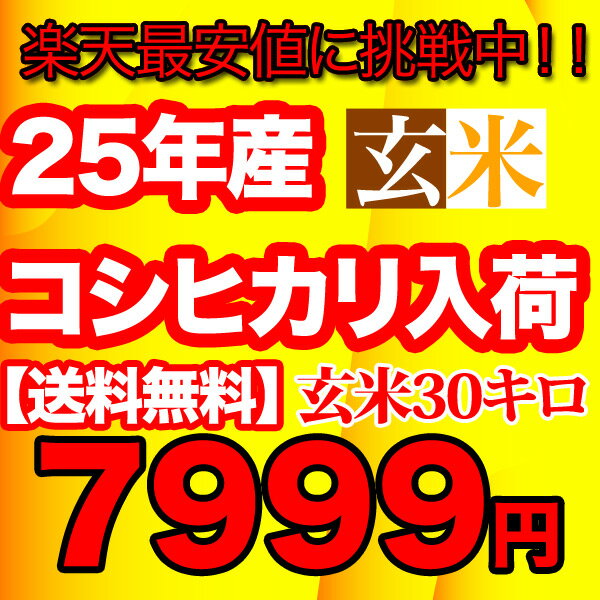 久留里名水のコシヒカリ玄米30キロこしひかり 玄米 30kg 送料無料 25年 30キロ お米 コメ コシヒカリ 米 食品この時期でしか味わえない味と香り沖縄県への発送は追加送料が1260円かかります。