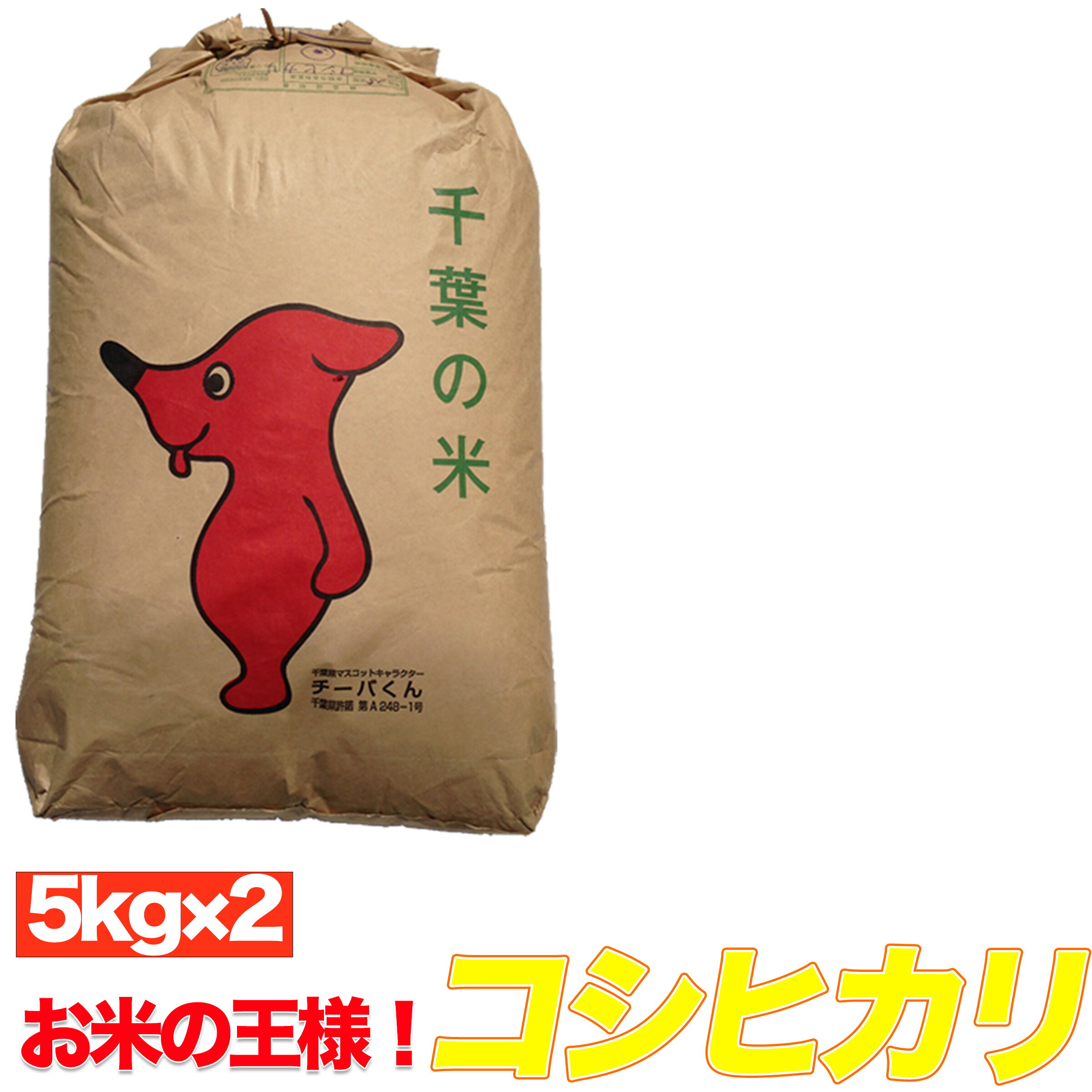 令和5年産 【1袋づつ選べる！精米or玄米】千葉県産<strong>コシヒカリ</strong> <strong>10kg</strong>(5kg×2） <strong>送料無料</strong> 残留農薬検査済 残留農薬不検出