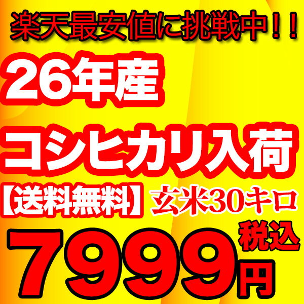 久留里名水のコシヒカリ玄米30キロこしひかり 玄米 30kg 送料無料 25年 30キロ お米 コメ 新米 コシヒカリ 米 食品この時期でしか味わえない味と香り