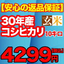 29年産新米入荷 コシヒカリ 玄米 10kg 千葉県 【送料無料】【精米無料】 精米(白米)発送可 10キロ 【オススメ】【売れ筋】