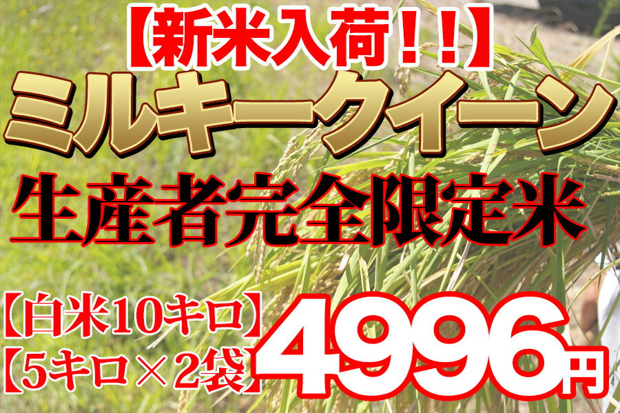 新米入荷 28年産 ミルキークイーン 10kg (5kg×2袋) 千葉県産 【送料無料】精米発送・玄米発送可能【オススメ】【売れ筋】 ランキングお取り寄せ