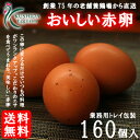 ☆æ¥å‹™ç”¨â˜†ã€æ„›çŸ¥â—尾張】櫛田養é¶å ´ã®ãŠã„ã—ã„赤åµã€€160個(140個+20個割れä¿éšœ)ã€é€æ–™ç„¡æ–™ã€‘