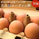 愛知が誇るブランド卵☆名古屋コーチンの卵【30個入り(破卵保障3個含む)】食品 卵 鶏卵