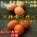 【愛知●尾張】二種食べ比べセット商品☆高級名古屋コーチンの卵(20個入り)+おいしい赤卵(20個入り)【送料無料】合計40個入り(内破卵保障4個含む) 食品/卵/鶏卵/玉子/たまご