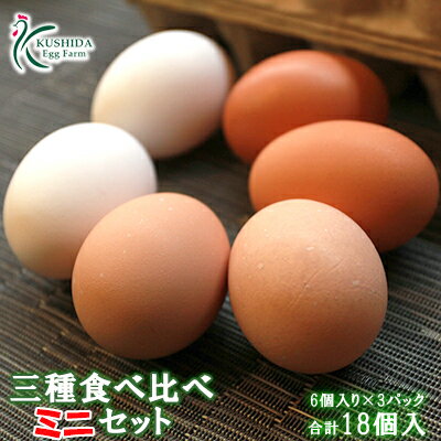 https://thumbnail.image.rakuten.co.jp/@0_mall/kushida-yo-kei/cabinet/tamagotabekurabe/tabekurabeminisetto/miniset.jpg?_ex=500x500
