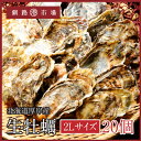 【産地直送!】生牡蠣(殻付き)20個 北海道 厚岸産 2Lサイズ 殻付き生食用