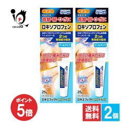 【19日限定ポイント5倍】【第2類医薬品】★ロキエフェクトLXゲルα 25g×2個セット【大石膏盛堂】肩・首筋・ひざに つらい痛みの元に直接浸透 ロキソプロフェン <strong>ロキソニン</strong><strong>ジェネリック</strong> 鎮痛消炎薬