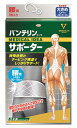 興和 バンテリンコーワ サポーター 腰用 大きめ Lサイズ シャイニンググレー (1枚入)