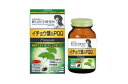 ☆タイムセール12個セットで30%OFF!明治薬品 野口医学研究所 イチョウ葉&PQQ PREMIUM 60粒×12個