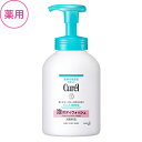 花王 キュレル 泡ボディウォッシュ ポンプ 480ml【医薬部外品】