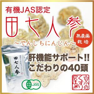 〓有機JAS認定〓『オーガニック田七人参 100g』【田七人参の名産地”雲南省産”】【無農薬・化学肥料不使用】【こだわりの40頭ランク】【無料オブラート付】【HLS_DU】