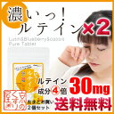 〓送料無料〓《2個まとめ買い》『 濃いっ!ルテイン 30粒×2 』【見る健康に 含有量約4倍 ビルベリーやカシスなども含有】【あす楽_土曜営業】【HLS_DU】【RCP】【05P03Dec16】
