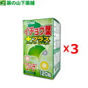 【3個セット】【送料無料】イチョウ葉プラス 120粒【イチョウ葉エキス/いちょう葉エキス/銀杏葉エキス/L-シトルリン/Ginkgo leaf extract】