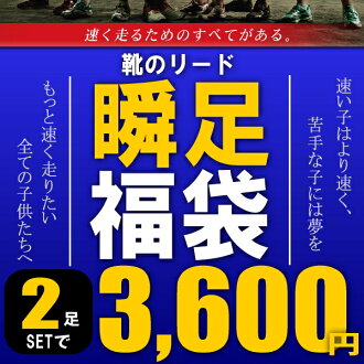 クリックすると画像が大きくなります