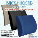 腰痛 背当て クッション:バックハガー ストラップ付/米国ボディライン社製/腰痛防止クッションのベストセラー腰椎の自然なカーブを保ちます!!/正規代理店 送料無料!
