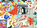 USAコットン 生地 布 タイムレストレジャーズ パリ ピンナップ C3751WHITE Paris Pin-ups Timeless Treasures 凱旋門 エッフェル塔 ノートルダム寺院 パリジェンヌ 商用利用可能