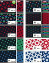 【エントリーでポイント10倍】【楽天ランキング入賞商品】畳へ...