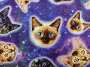 USAコットン 生地 布 ギャラクシーキャッツ C5393Galaxy 入園入学 銀河のネコ 猫 ねこ タイムレストレジャーズ 宇宙柄 Galaxy Cats 商用利用可能