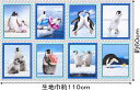 パネル柄 USAコットン 生地 布 パーキーペンギンズ AVT16567-205 ロバートカフマン Perky Penguins ROBERT KAUFMAN 約110×60cm ロバートカウフマン 商用利用可能