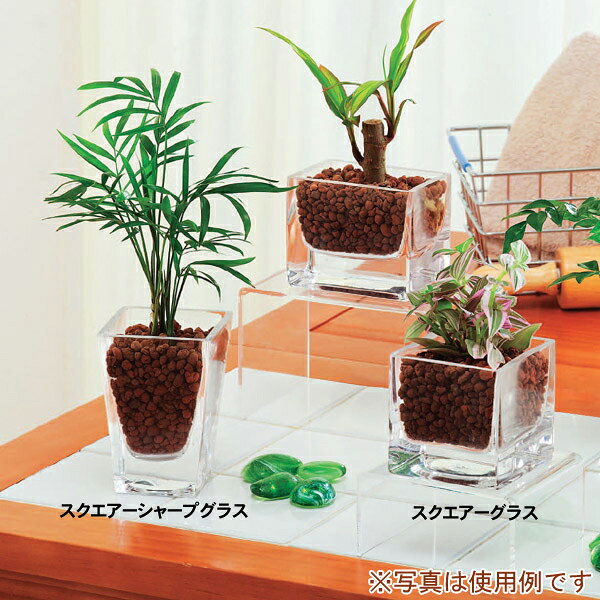 ̵饹60ŷHCe-netshop