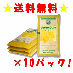 【送料無料】スターフルーツパルプ フルッタ 400g×10パック(4kg) 冷凍業務用お買得セット 05P25Jun1205P17Aug12