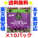 【送料無料】アサイー(アサイ) スムージー リオブレンド(加糖) 100g×40袋　サンバゾン【要冷凍】【アサイー　ジュース】【アサイー　スムージー】【アサイーピューレ】05P17Aug12