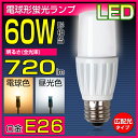 LED電球 T形 E26 60W形相当(EFD15型) 7W 光りが広がるタイプ E26口金 電球色 昼光色